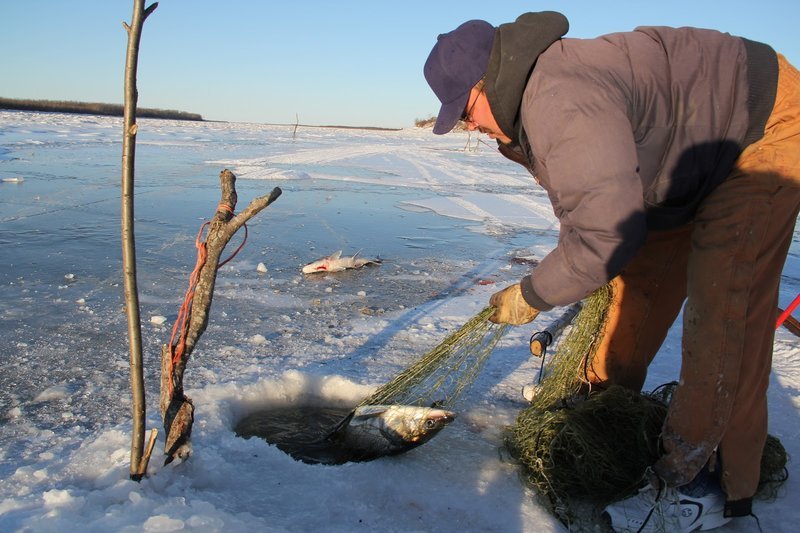 Thrilling Winter Adventures: Live Ice Fishing Gameplay in the UK in United Kigdom
