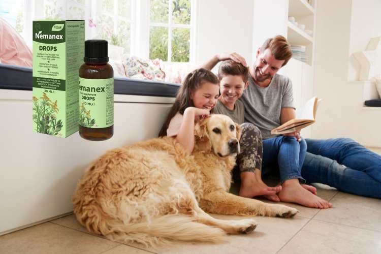 Nemanex - Rozwiązanie dla zdrowia Twojego mózgu i serca